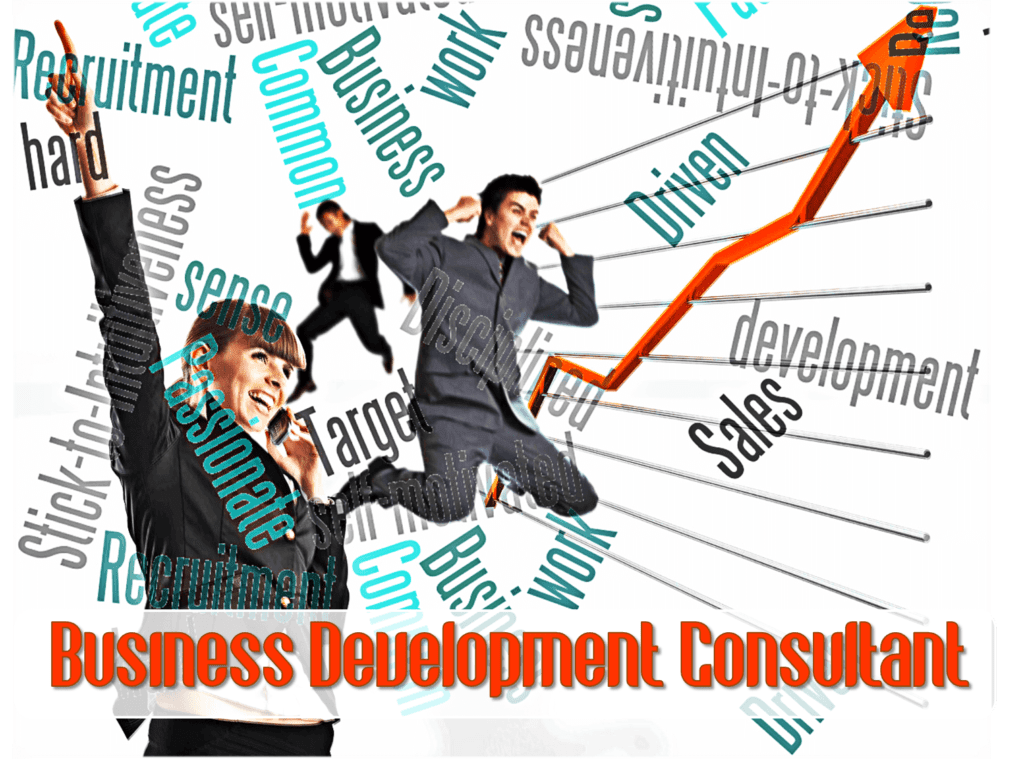Business Development Consultant NXT LVL ROI Business Consulting