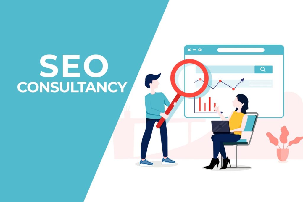 SEO Consultant-NXT LVL ROI-Best business consulting services, for both small and corporate companies, and are the leading experts in digital marketing and lead generation