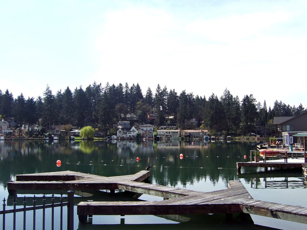 Lake Oswego, OR - NXTLVLROI Business Consultants